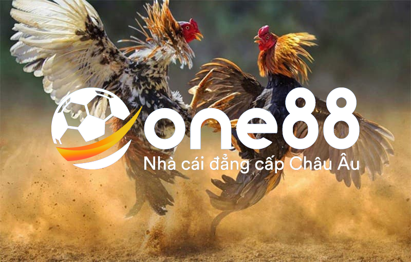 Giới thiệu Đá Gà One88