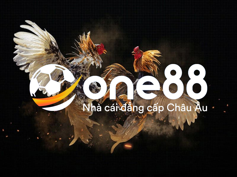 Các lợi ích nổi bật nhất khi anh em chơi đá gà One88